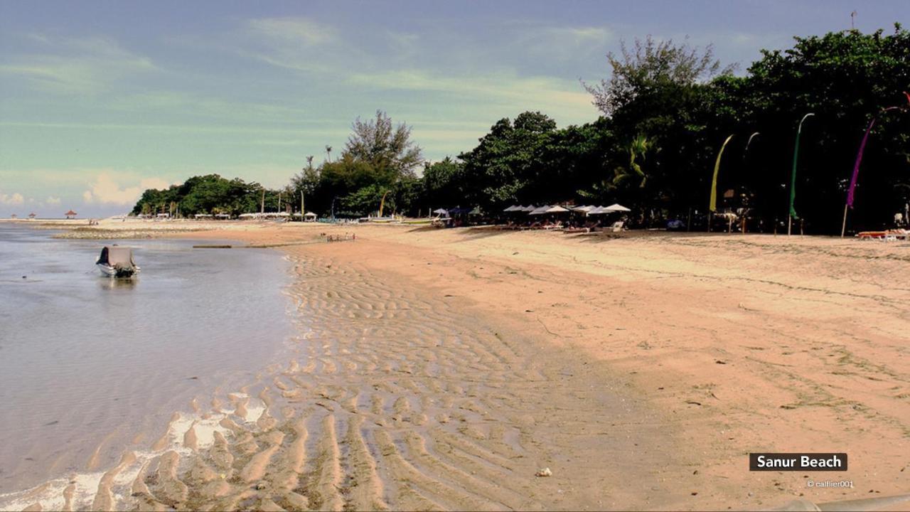Zen Villa Sanur Art מראה חיצוני תמונה